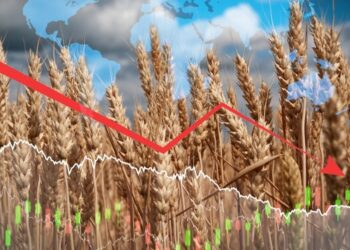 ئاسایشى خۆراک – الأمن الغذائي – Food Security