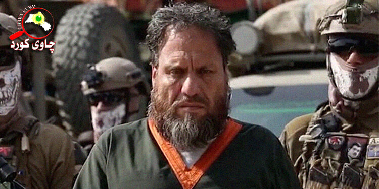 Terror after Islam Faruqi