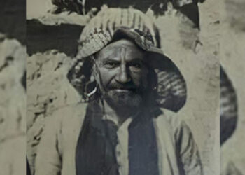 محەمەد ئەمین ئاغای هەمەوەند