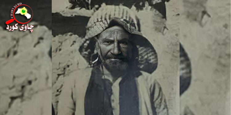 محەمەد ئەمین ئاغای هەمەوەند