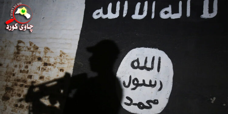 The Islamic State Has Not Been Defeated