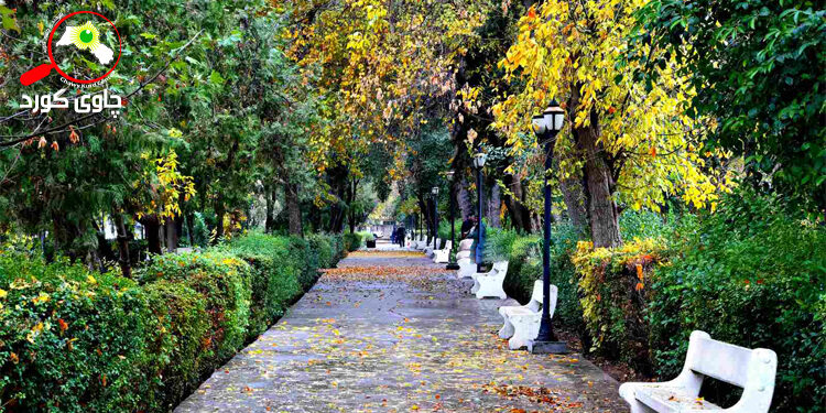 درەختەکانی شەقامی گۆران دێنە دەنگ