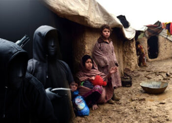 دەوڵەتی مافیا