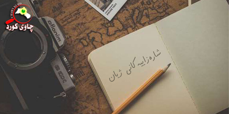 شارەزاییەکانی ژیان