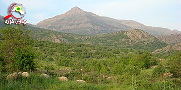 قه‌زای‌ مێرگه‌سوور