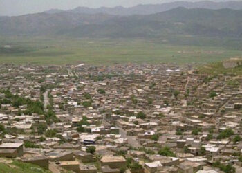 نێ، شارەدێی فەرهەنگ و نیشتمانپەروەری