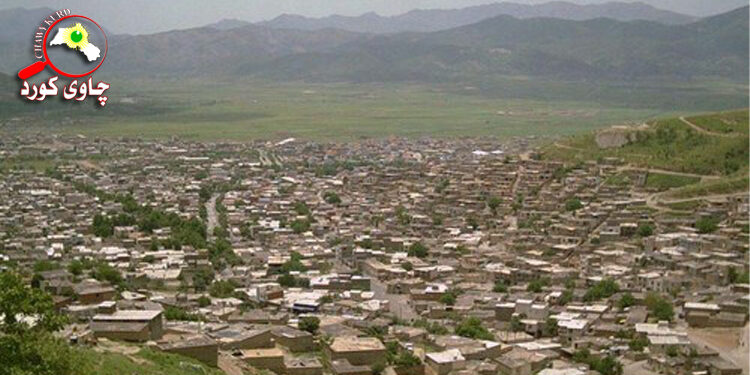 نێ، شارەدێی فەرهەنگ و نیشتمانپەروەری