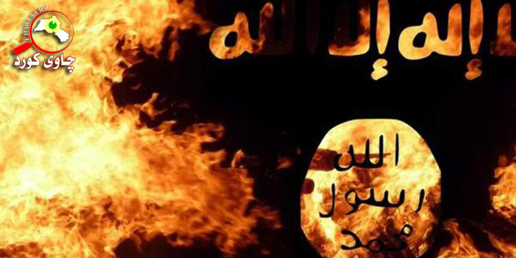 The Structure of Isis