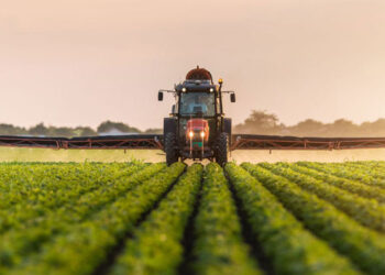 پێگەی كەرتی كشتوكاڵ لە ئابووری هەرێمی‌ کوردستان