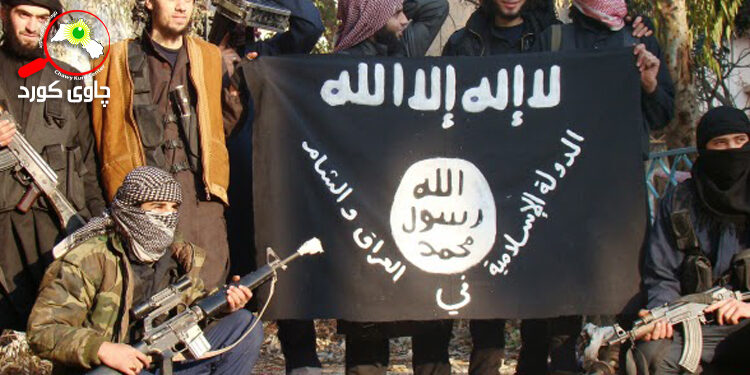 ڕێکخراوی قاعیدە