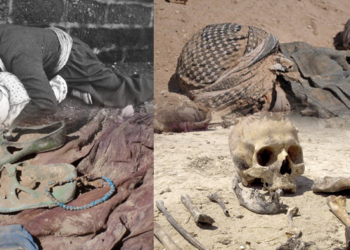 دەوڵەت و مانەوەی نەتەوەیی