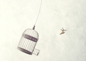 له‌ ڕزگارییه‌وه‌ بۆ ئازادی‌