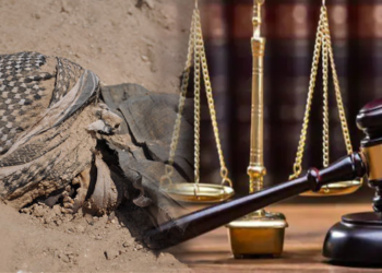 کورد و ئەنفال