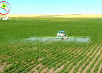 کوردستان، لانکەی داهێنانی کشتوکاڵ و ماڵیکردن