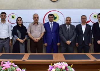 كار و چالاكییەكانی چاوی كورد