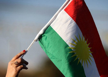 What is your Problem with Kurds?