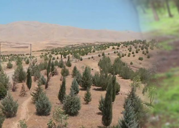 ته‌ڕه‌زانی کورد له‌ نێوان سرووشت و سیاسه‌تدا