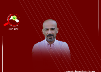 باری سەرشانی  حوشتر