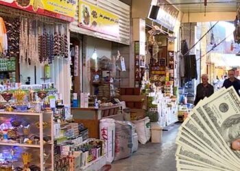 The role of insurance in the development of the country’s economy;  The Kurdistan Region, As an Example