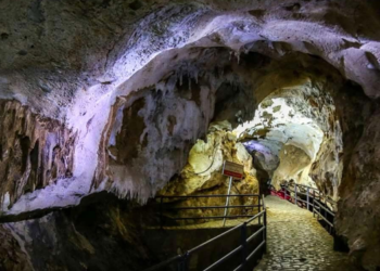 شوناسی دزراوی شوێنه‌کان