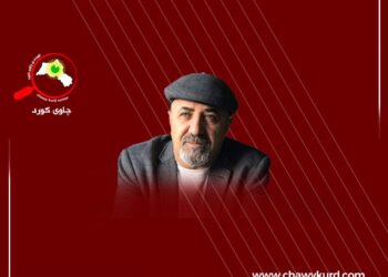 سۆشیال میدیا و مێگەل