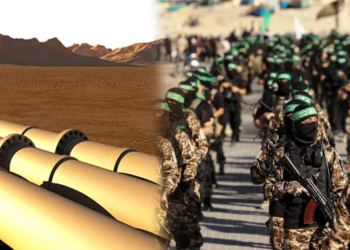 جەنگی غەزە؛ خۆری وزەی کورد دەدرەوشێنێتەوە