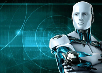 زیره‌کیی ده‌سکرد؛ مه‌ترسی و هه‌له‌کان