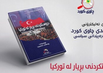 Decision-Making in Turkey