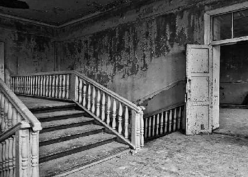 کۆمەڵگای پڕوکاو سایکۆپۆلەتیک