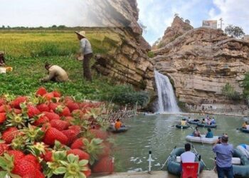 گرنگی  و کاریگەری گەشتیاری و کشتوکاڵی لەسەر هەرێمی کوردستان