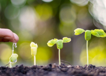 فەلسەفەی ئاکاری ژینگەیی چییە؟