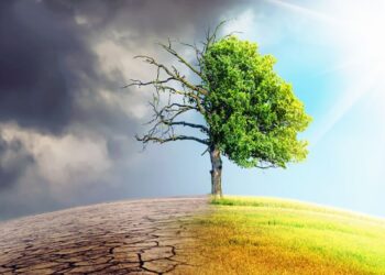 ژینگه‌؛ له‌ نێوان مه‌رگ و ژیاندا