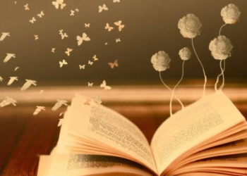 ڕۆمانە سەرکێشییەکان