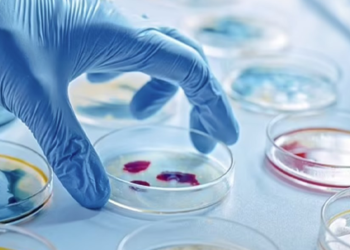 تێچووی تراژیدیی نازانستی بوون