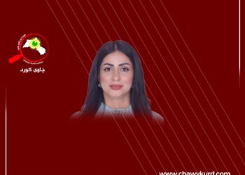 ڕێگاچارەکانی کۆچی گەنجان