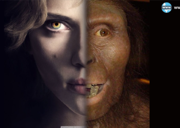 نزیکەی هه‌شت سه‌د هه‌زار ساڵ لەمەوبەر تەنیا 1%مرۆڤایەتی ڕزگاری بووە