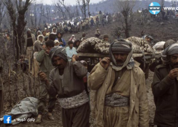 Concept of Humanitarian Intervention and Decision 688