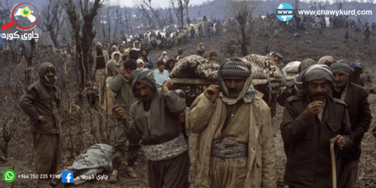 Concept of Humanitarian Intervention and Decision 688