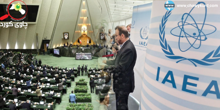 هەڵپساردنی ئەندامێتی ئێران لە ئاژانسی نێودەوڵەتی وزەی ئەتۆم؛ هۆکار و لێکەوتەکان