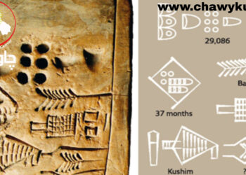 کوشیم؛ یەکەمین ناوی تۆمارکراو لەمێژوودا