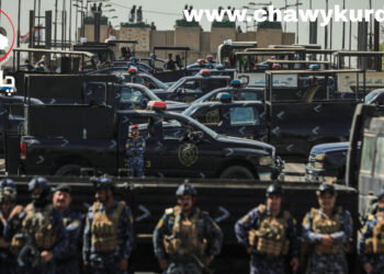 ڕێکخستنی هێزە چەکدارەکان و ڕۆڵیان لە دەوڵەتى فیدڕاڵیدا