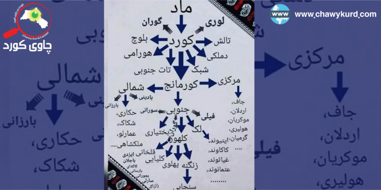 زمانی کوردیی سۆرانی؛ لەگەڵ خوێندنەوەی بژاردەدا