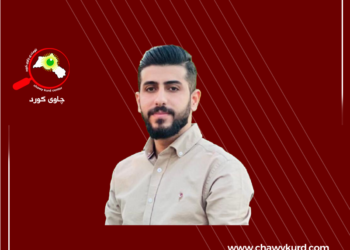 کاریگەری سیستەمەکانی هەڵبژاردن لەسەر هۆشیاری دەنگدەر  و حزبی سیاسی