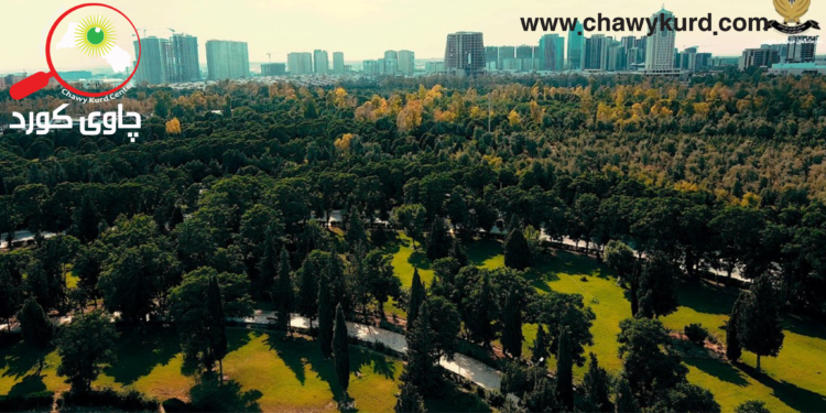 پڕۆژەی نەمام چاندنی هەولێر؛ پهیوەندی ژینگە، ئابووری و هەلی کار