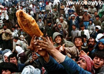 خوێندنەوەیەکى مێژوویى بۆ کۆڕەوى ١٩٩١ى باشوورى کوردستان